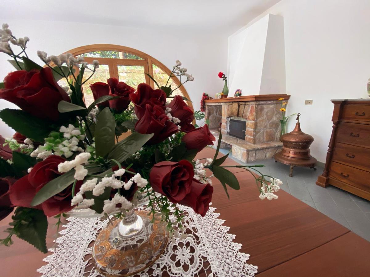 Achille Home B&B ซอร์เรนโต ภายนอก รูปภาพ